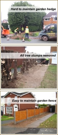Wolverhampton Tree Stump Grinding